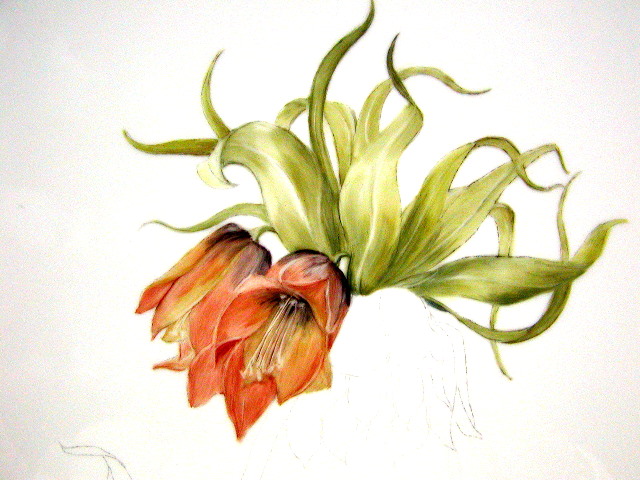 paintings of flowers for beginners. Start painting the flowers,