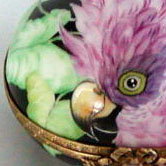 Purple Cockatoo's head