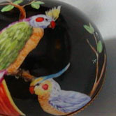 Parrots and butterfly over black