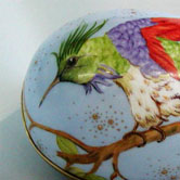 Ornithological egg box