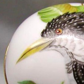 Ornithological egg box