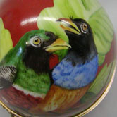 Ornithological egg box