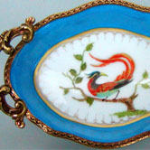 Paradise bird