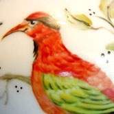 Bird of paradise 