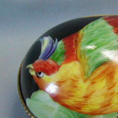 Ornithological egg box