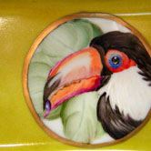 Toucan head