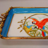 Red and blue parrot