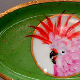 Cockatoo 's head
