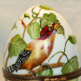 Ornithological egg box