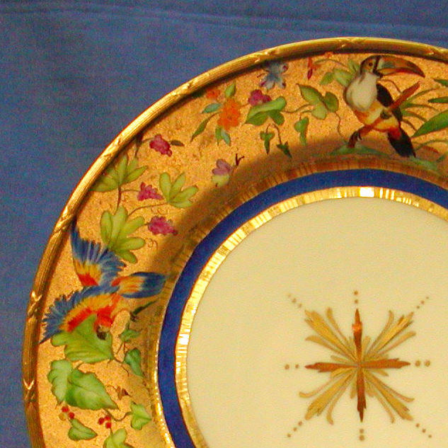 Jungle birds, Toucan, Parrot, Macaw
