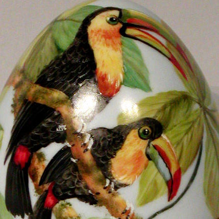 Toucan Family