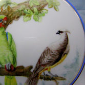 The Parakeet, the Waxwing and the green Toucan