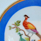 Meissen birds