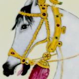 Arabian Horse Hermes style