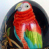 Parrot over black