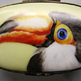 Toucan head