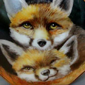 Pair of baby foxes