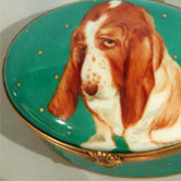Basset hound portrait