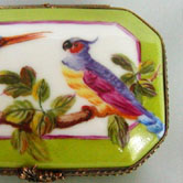 Two exotic birds