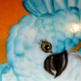 Cockatoo and lady bug
