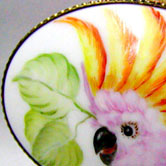 Cockatoo 