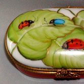 Lady bugs