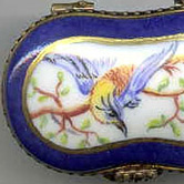Bird of paradise