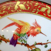 Exotic bird