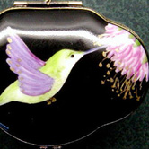 Hummingbird on black