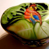 Parrot 