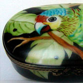 Teal parrot and lady bug