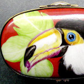 Toucan head